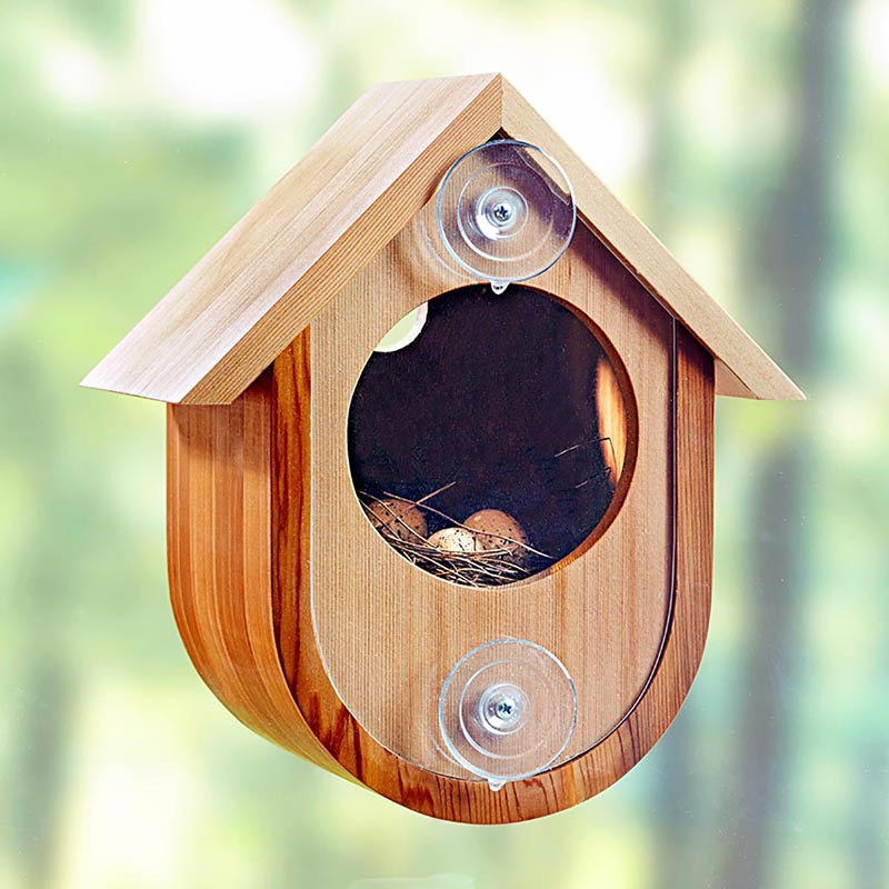 See-in Birdhouse Downloadable Plan Thumbnail