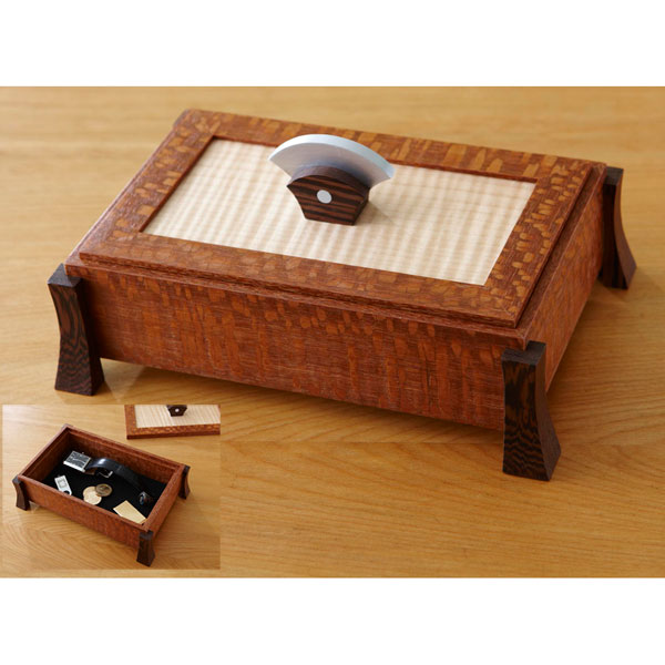 Picture of jewelry box and an insert showing the lid removed in interior of box.